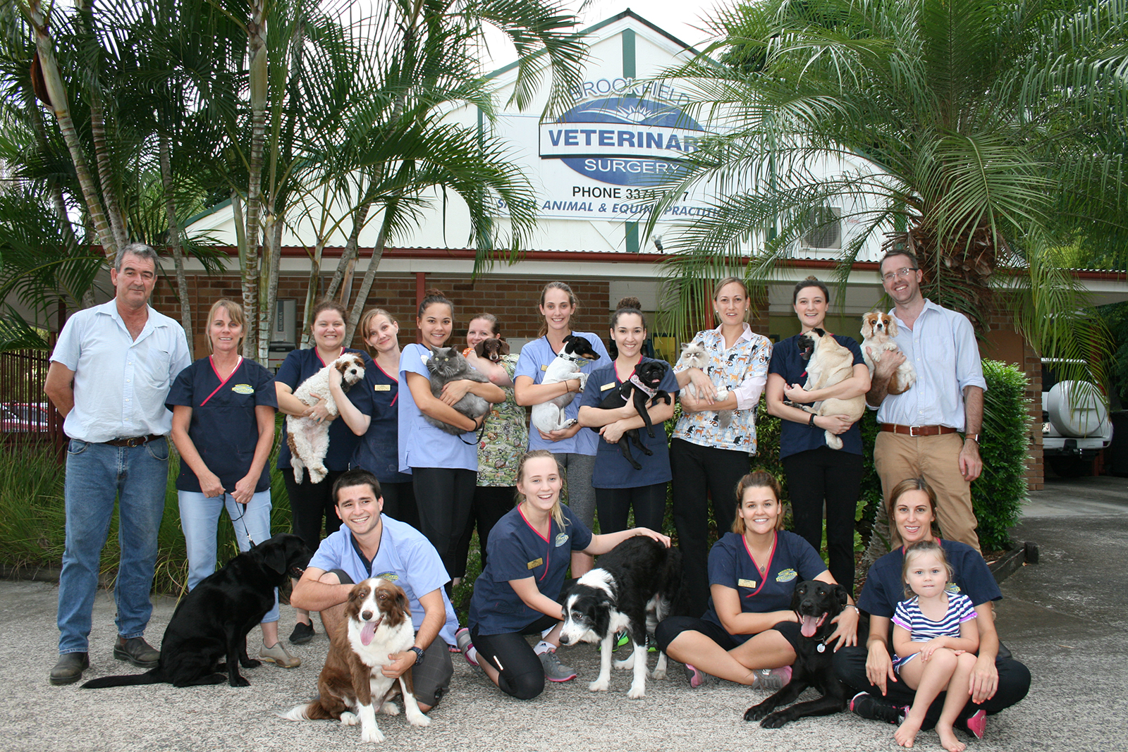 Brookfield Veterinary Surgery Brookfield Veterinary Surgery