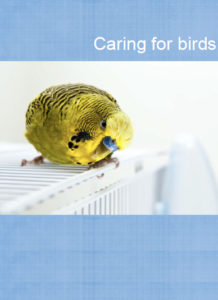 Caring for Birds eBook - Brookfield Vet Surgery