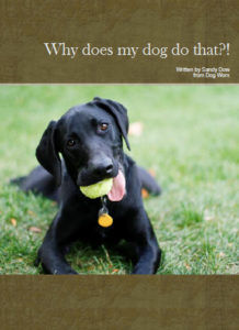 Dog Behaviour eBook - Brookfield Vet Surgery