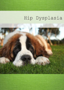 Hip Displasia eBook - Brookfield Veterinary Surgery